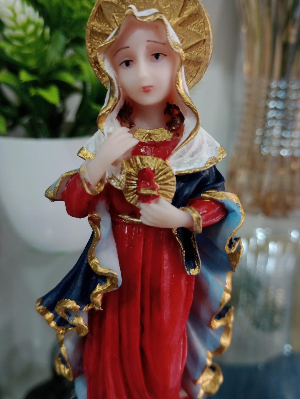 imagem de Sagrado Coração de Maria Resina 15 cm